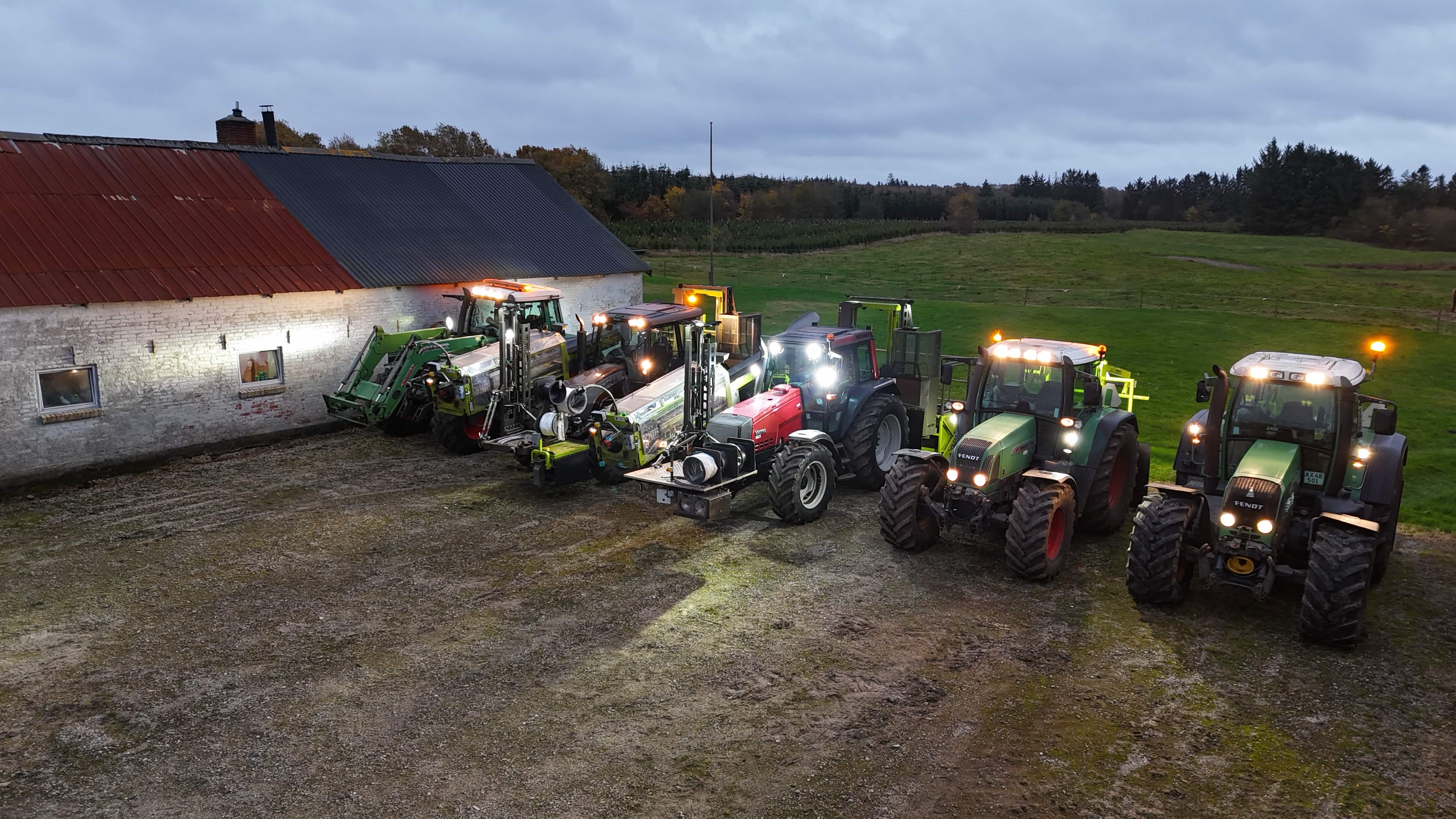 Christmas tree plantation